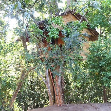 فيلا Tree House-Midigama فيليغاما المظهر الخارجي الصورة
