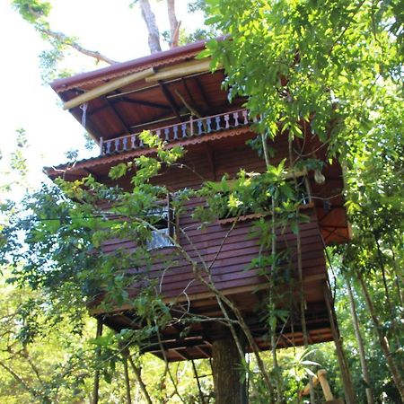 فيلا Tree House-Midigama فيليغاما المظهر الخارجي الصورة