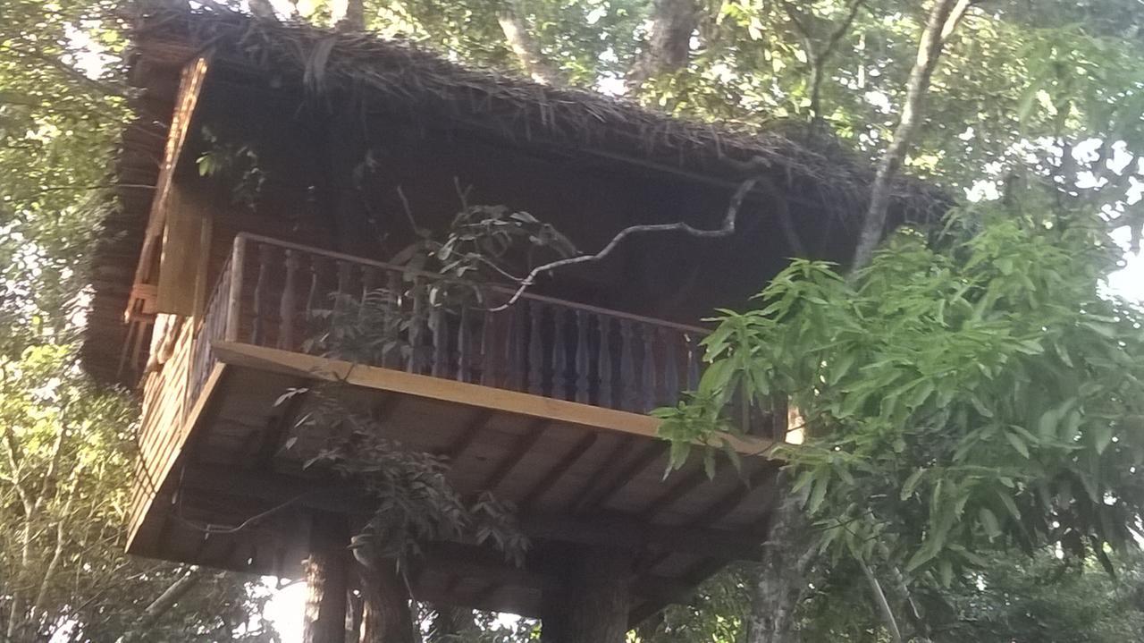 فيلا Tree House-Midigama فيليغاما المظهر الخارجي الصورة