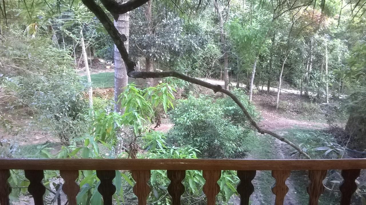 فيلا Tree House-Midigama فيليغاما المظهر الخارجي الصورة