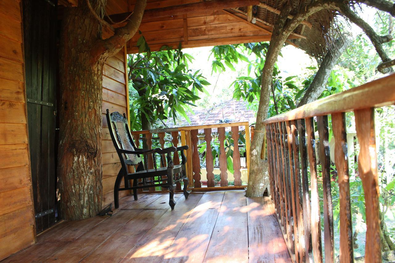 فيلا Tree House-Midigama فيليغاما المظهر الخارجي الصورة