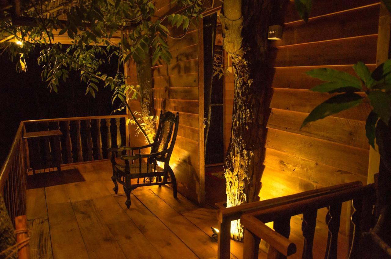 فيلا Tree House-Midigama فيليغاما المظهر الخارجي الصورة