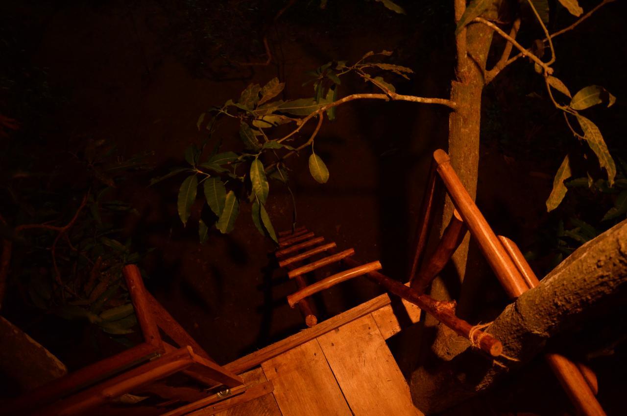 فيلا Tree House-Midigama فيليغاما المظهر الخارجي الصورة
