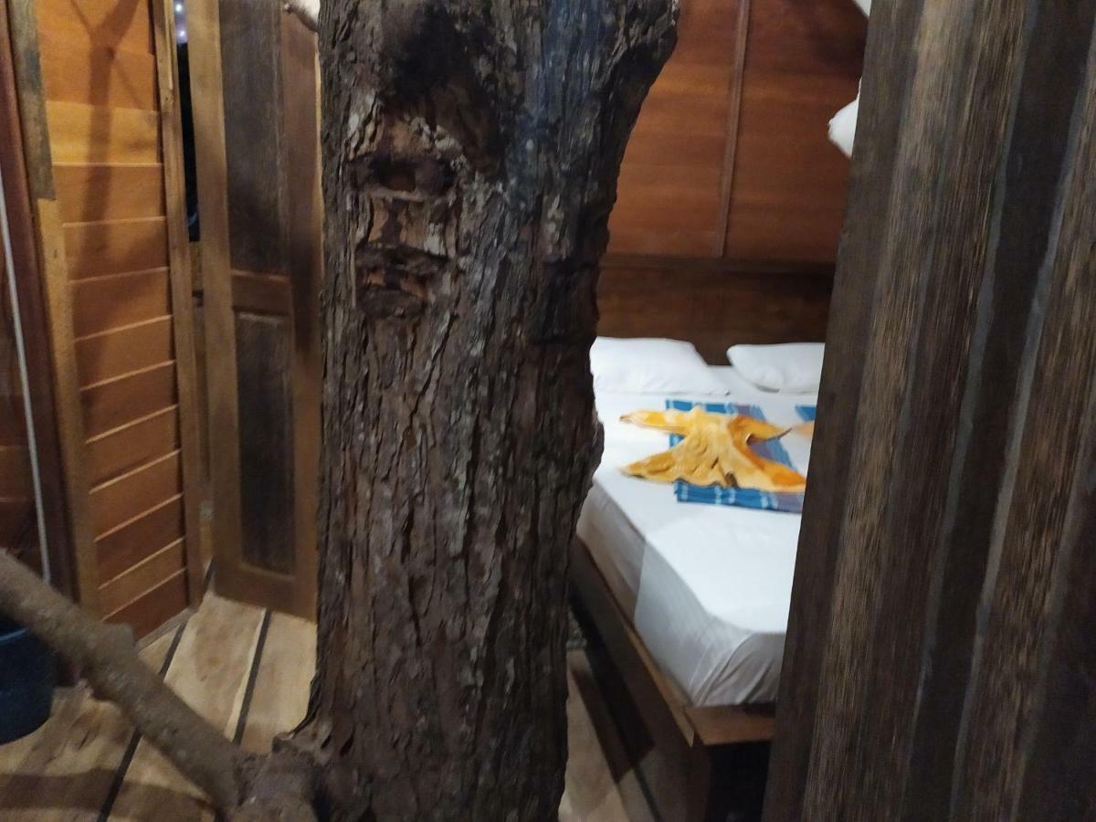 فيلا Tree House-Midigama فيليغاما المظهر الخارجي الصورة