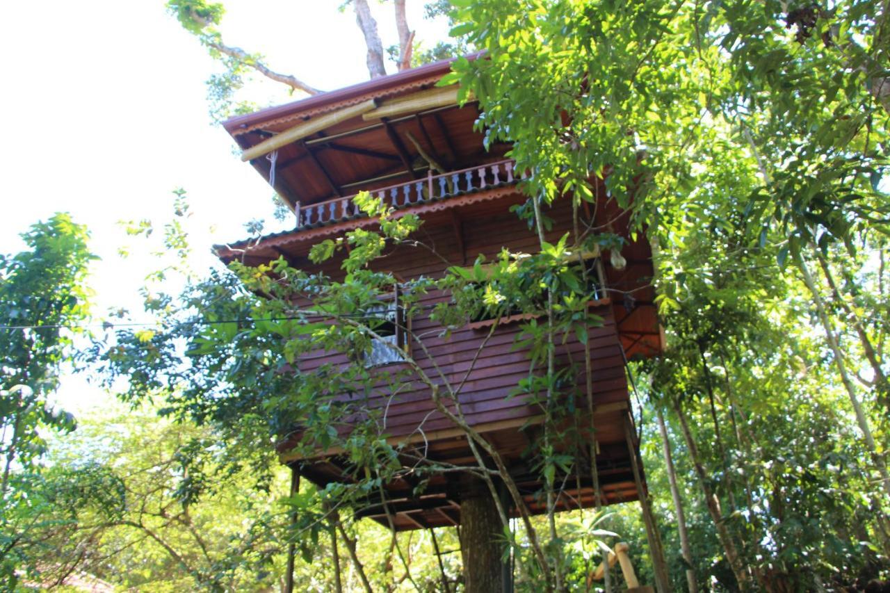 فيلا Tree House-Midigama فيليغاما المظهر الخارجي الصورة