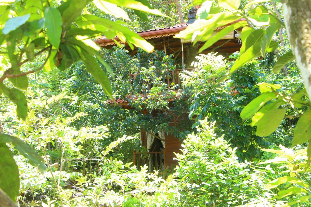 فيلا Tree House-Midigama فيليغاما المظهر الخارجي الصورة