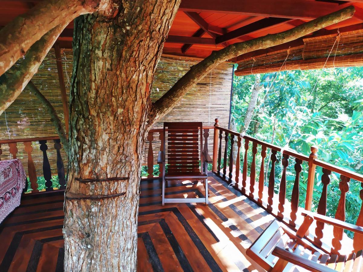 فيلا Tree House-Midigama فيليغاما المظهر الخارجي الصورة