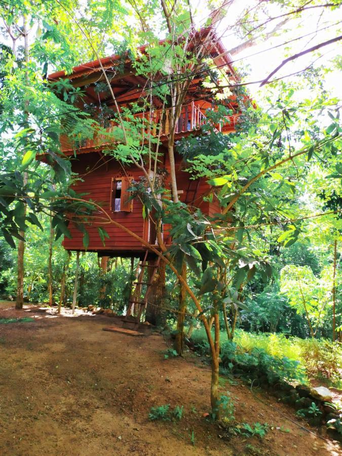 فيلا Tree House-Midigama فيليغاما المظهر الخارجي الصورة