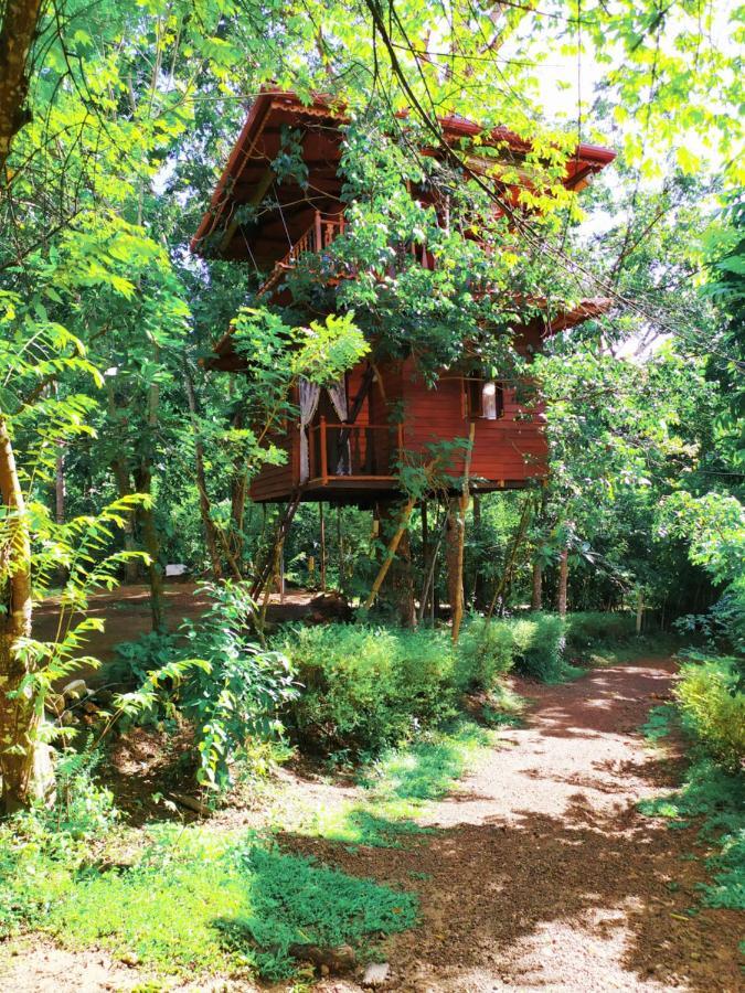 فيلا Tree House-Midigama فيليغاما المظهر الخارجي الصورة
