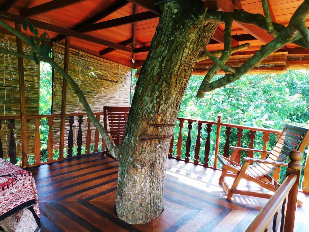 فيلا Tree House-Midigama فيليغاما المظهر الخارجي الصورة